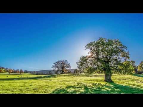 Grupul Iehova-Nisi - EU TE IZBAVESC