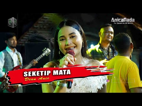 SEKETIP MATA - DIAN ANIC - ANICA NADA MALAM 13 DESEMBER 2022 DESA SUMBER KIDUL BABAKAN CIREBON TIMUR