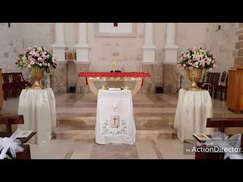 sabrin aboud florist