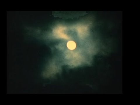 Blue Cranes feat. Rebecca Sanborn - "Handbook Of The Dead" (Official Music Video)