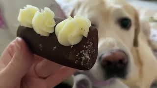 Купила всем вкусняшки  🤗 Маршрут перестроен  🥴
