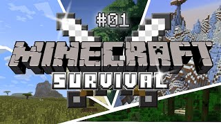 Minecraft Night Survival Gone Wrong 🌑💀 | My First Ever Episode!