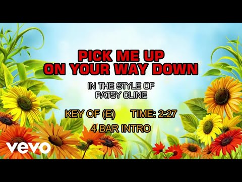 Pick Me Up On Your Way Down - Patsy Cline