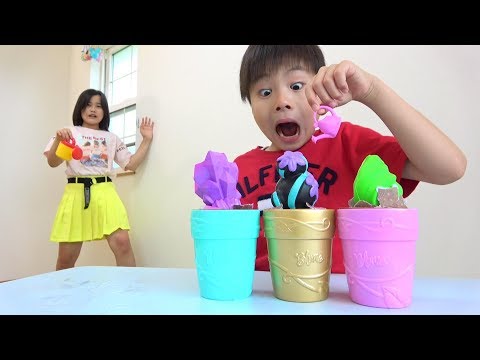 ブルーミーポットに水やり禁止！ Do not give water to the Blume Dolls