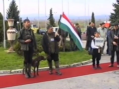 World Championship Deutsch Kurzhaar Serbia 2005 - part 1