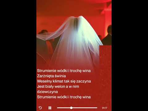 BaraciaLisoFagoy- Album Weselne Techno / (Ada Krawczyk- Weselny Klimat Ale To Techno)