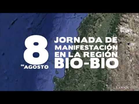 8 de agosto - Jornada de Manifestación en la región del Biobio -
