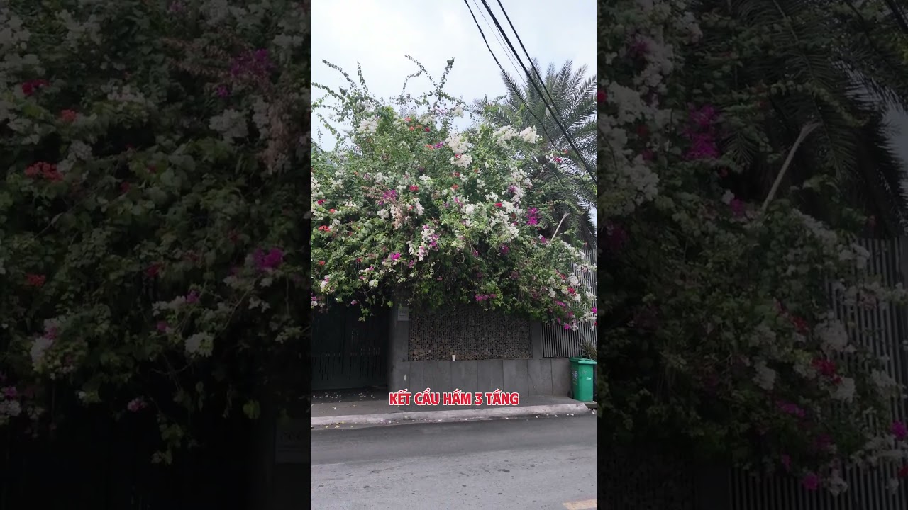 Ảnh đại diện Video