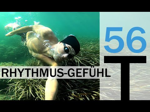RHYTHMUSGEFÜHL für SCHNELLES SCHWIMMEN | Schwimmtraining Trainingsplan 56 + PDF-Download GRATIS