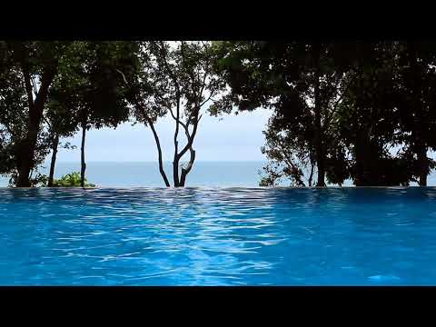 Weezer feat. AJR - All My Favorite Songs