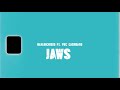 RealRichIzzo Ft. FWC Cashgang “JAWS”  (Official Video)