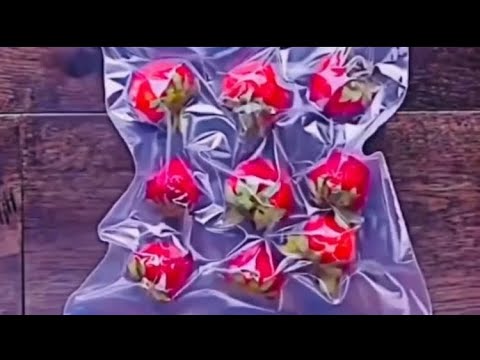 Part of a video titled Homemade vacuum packing ‍ - YouTube