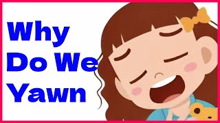 Why Do We Yawn? + How Rainbows Form | Fun Science Facts for Kids!