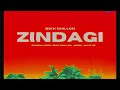 ZINDAGI | Bikk Dhillon | new punjabi song 2024