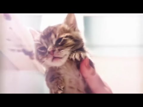 𝙋𝙞𝙣𝙠 𝙇𝙚𝙢𝙤𝙣𝙖𝙙𝙚 [𝙍𝙀𝙈𝙄𝙓