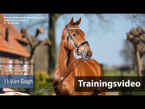 Special Auction Reesink Horses Training Lot 11 Van Gogh Wallach v. Valverde - Hotline