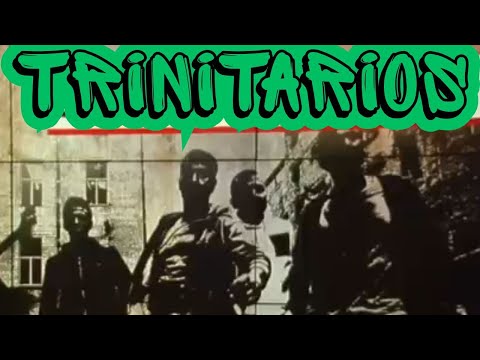 Trinitario Gang Members Caught Lacking in Queens NYC - Ep. 39