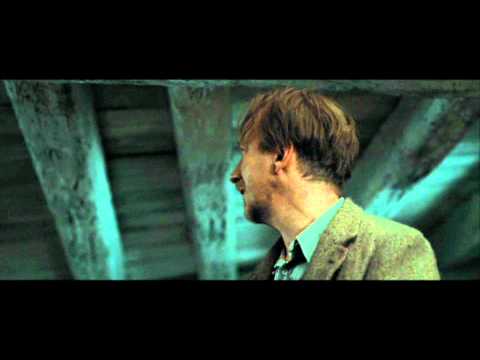Harry Potter and the Deathly Hallows part 1 - the Order at the burrow after the sky battle (HD)