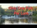 Video Thumbnail for Only One Fish Per Lure.