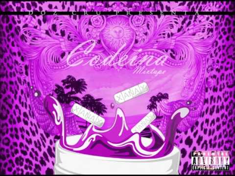 Neo Pistea x Coqein Montana  -  B A R B I E