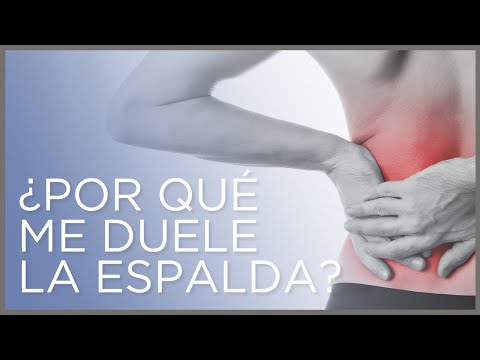 ¿Por qué me duele la espalda? | Causas, síntomas y tratamientos del dolor de espalda