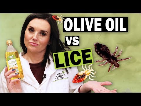 Removing Head Lice with Olive Oil | Watch This BEFORE You Try!