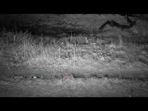 Djuma: Rain storm - 21:39 - 06/12/2023