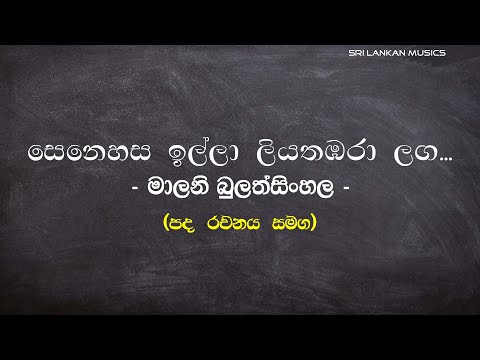 සෙනෙහස ඉල්ලා ලියතඹරා ළඟ | මාලනී බුලත්සිංහල (Senehasa Illa | Malani Bulathsinhala )