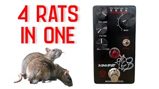 Video thumbnail for 4 RATS INTO AN AC30 || MOSKY KING RAT by MOMO'S DEMOS