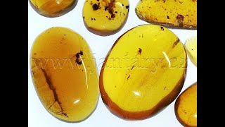  Křídový jantar SJ-80