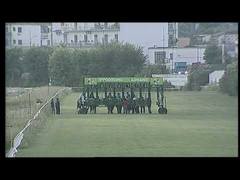 Napoli Galoppo 20/08/2021 - 3ª corsa