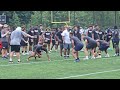 Towson football Camps 