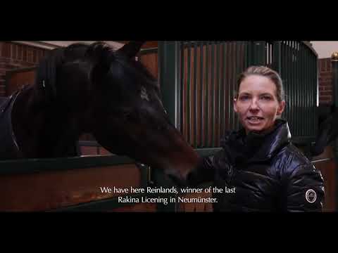 The Global Equestrian Group Brand Video
