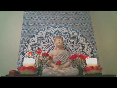 🌺🙏🌺 The delusion sutta ( Avijja Sutta ) v2