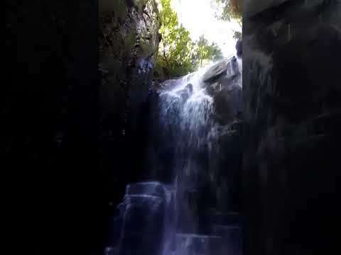 Cascata Herveiras #belezanatural #natureza #cachoeiras #riograndedosul  #cascatas