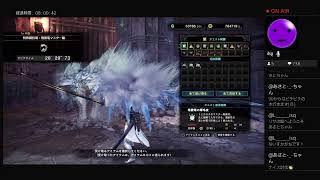 【モンスターハンターワールド アイスボーン】 初見 14