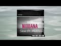 FLEXO ️ Nibbana ️ Offical Snipped