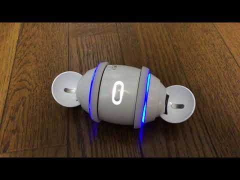 SONY Rolly The Nolans   I'm In the Mood for Dancing 2020_08_11 (SEP-50BT)