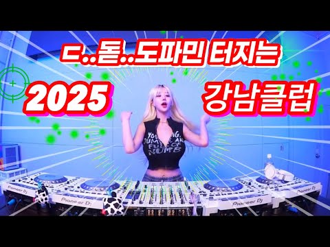 🔥도파민충 나와라🌟 듣자마자 도파민 터져버리는 강남클럽 MIXSET🌟| DJ KARA 카라 | 쌈@뽕 주의🚨