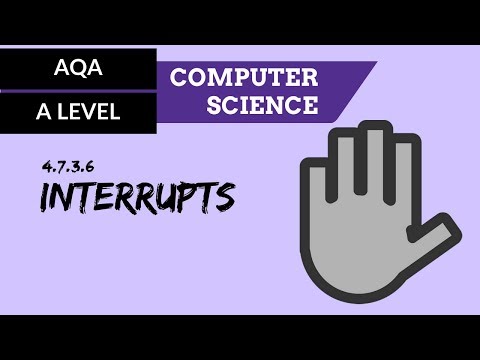 Data Types CS50 Shorts