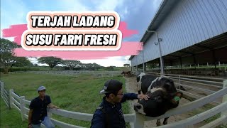 Ladang Farm Fresh UPM Serdang 16