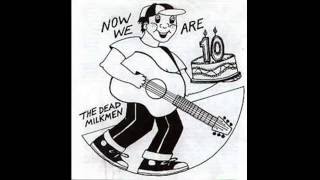 The Dead Milkmen Right Wing Pigeons