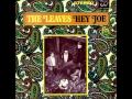 The Leaves-Hey Joe 