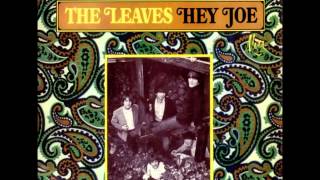 The Leaves - Hey Joe! video