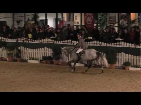 Gut Neuenhof Cristallo II Hengstschau Münster-Handorf 28.02.2012