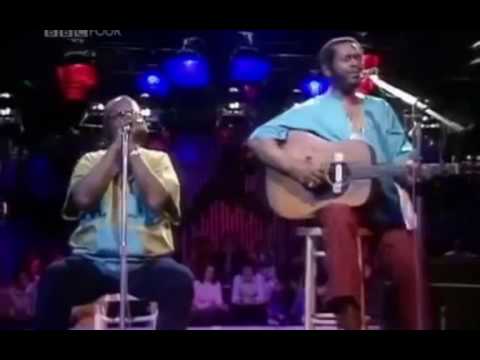 Sonny Terry & Brownie McGhee - walk on