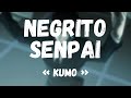 NEGRITO SENPAI - KUMO | AMV HUNTER x HUNTER (BRIGADE FANTÔME) by Saiyazoka | Prod by @LCSprod