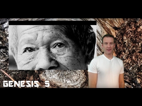 Genesis Chapter 5 Summary and What God Wants From Us