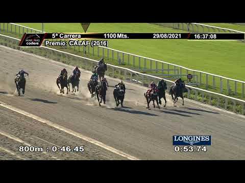 210829 c05 COZY FEVER