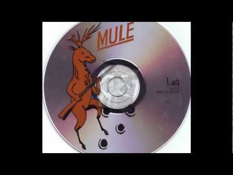 Mule  - Lucky / Hayride